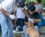 INICIA EN #COSOLEACAQUE LA JORNADA DE VACUNACIÓN ANTIRRÁBICA CANINA Y FELINA 2026.